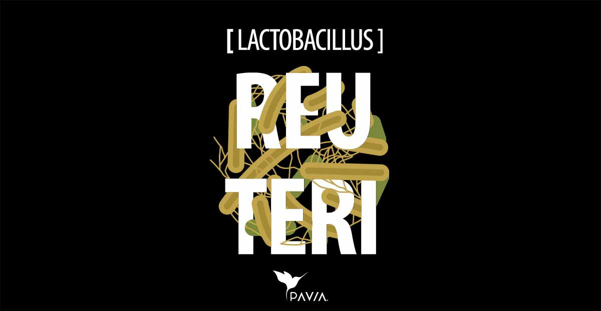 Beneficios de Lactobacillus reuteri LR92