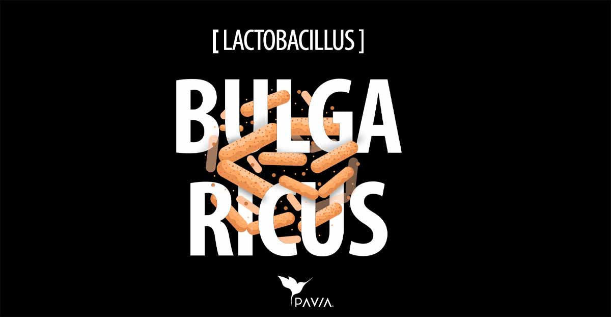 lactobacillus bulgaricus lp-87