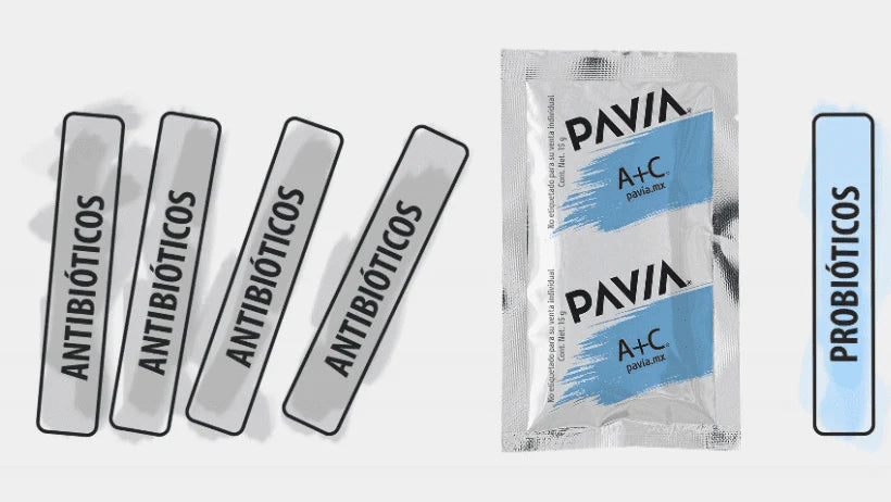 ANTIBIÓTICOS vs PROBIÓTICOS