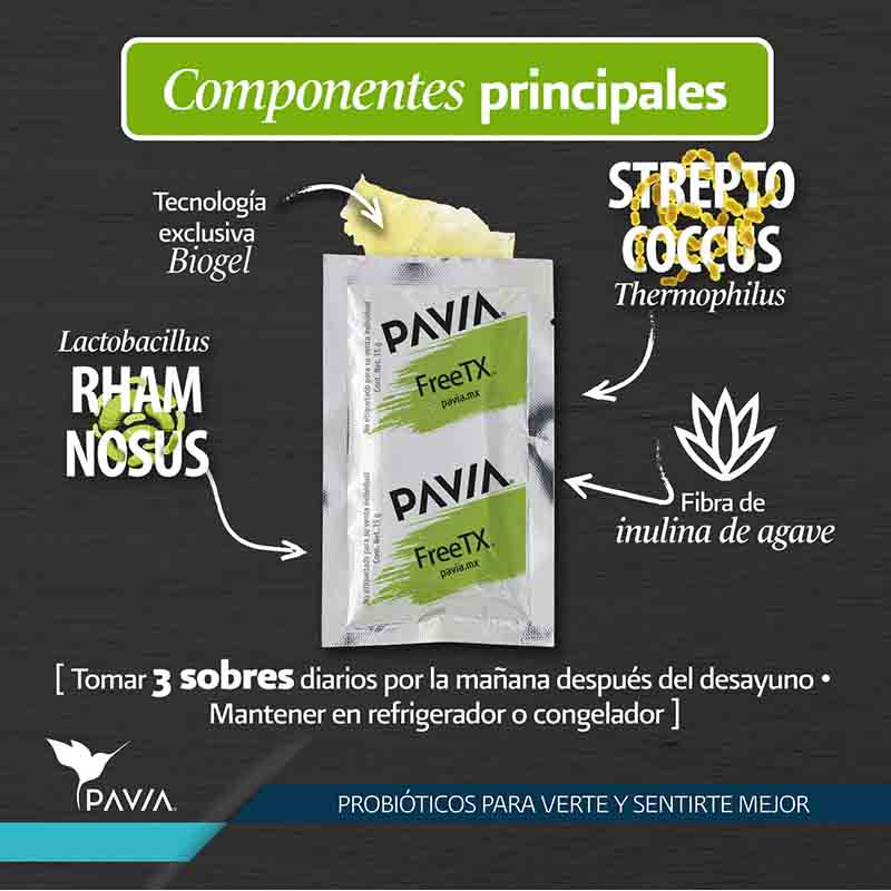Componentes principales del FreeTX