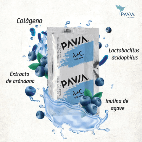 pavia probioticos con antioxidants colageno e inulina de agave como prebiotico